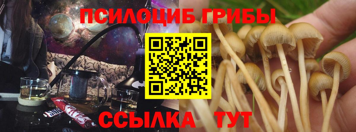 Нарткала  магазин продажи   Псилоцибиновые грибы мухоморы  Вход с VPN  Галлюциногенные грибы MAGIC MUSHROOMS 