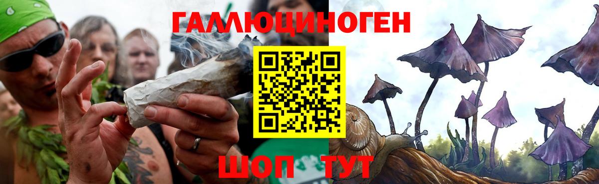 Галлюциногенные грибы ЛСД Нарткала